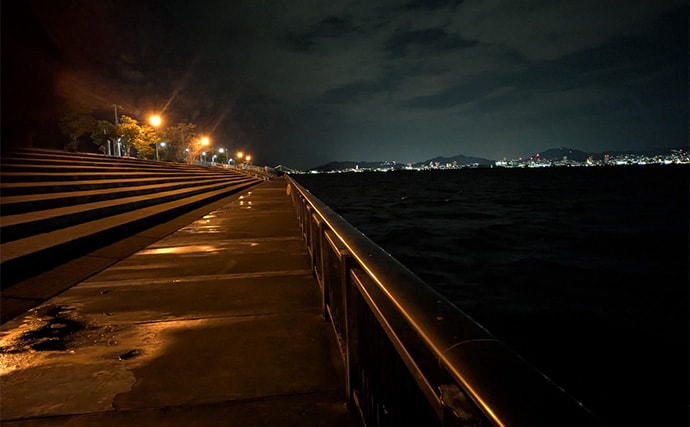 夜のメバリングで20cm級メバルヒット【兵庫】潮の緩みとクリアカラーが決め手