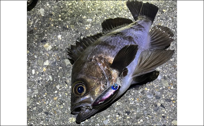 「極細PEラインの寿命はどのくらい？」0.1号〜0.3号の使い方＆使い分け方も解説