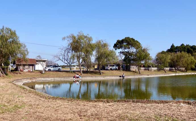 今週のヘラブナ推薦釣り場2025【千葉・宮島池】