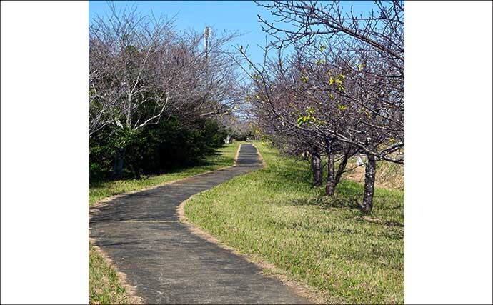 今週のヘラブナ推薦釣り場2025【千葉・宮島池】