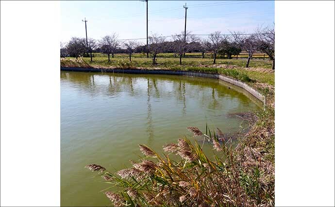 今週のヘラブナ推薦釣り場2025【千葉・宮島池】