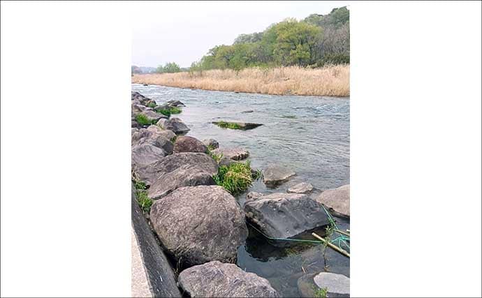 「腕試しや技術の向上に最適！」 渓流釣りイチオシ河川：那珂川