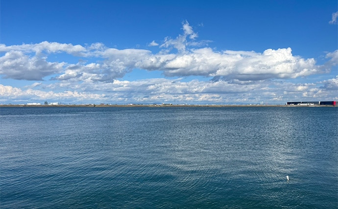 シーバスロッド流用でのルアーマゴチ釣りで45cm本命登場【木曽川河口】