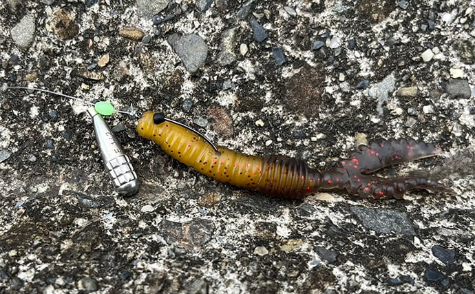 シーバスロッド流用でのルアーマゴチ釣りで45cm本命登場【木曽川河口】