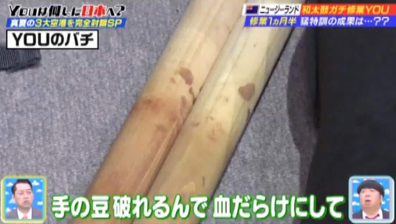 8/11YOU