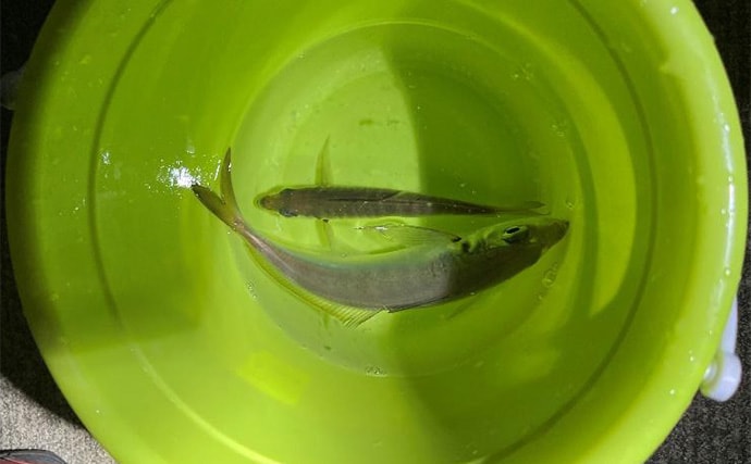 「釣り大会の優勝をじゃんけんで決める？」 34アジングカップ全国大会に参戦