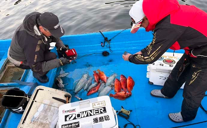 真冬のボート釣りでアオリイカとアカハタを好捕【大分】 刺身＆唐揚げに舌鼓！