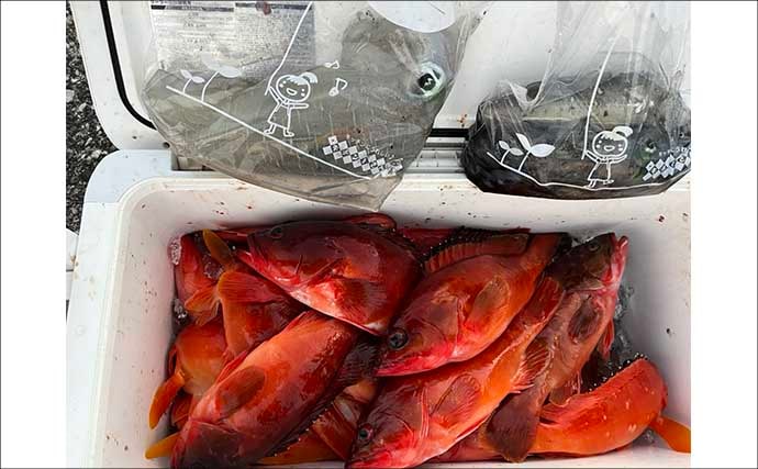 真冬のボート釣りでアオリイカとアカハタを好捕【大分】 刺身＆唐揚げに舌鼓！