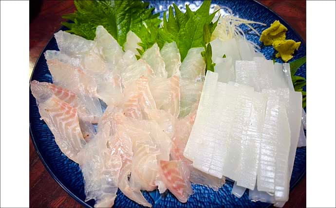 真冬のボート釣りでアオリイカとアカハタを好捕【大分】 刺身＆唐揚げに舌鼓！