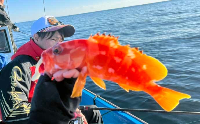 真冬のボート釣りでアオリイカとアカハタを好捕【大分】 刺身＆唐揚げに舌鼓！