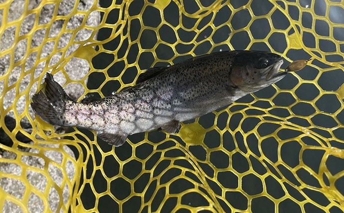 雪代の影響で低活性の魚はレンジが超シビア？ 『千早川マス釣り場』で22匹と苦戦