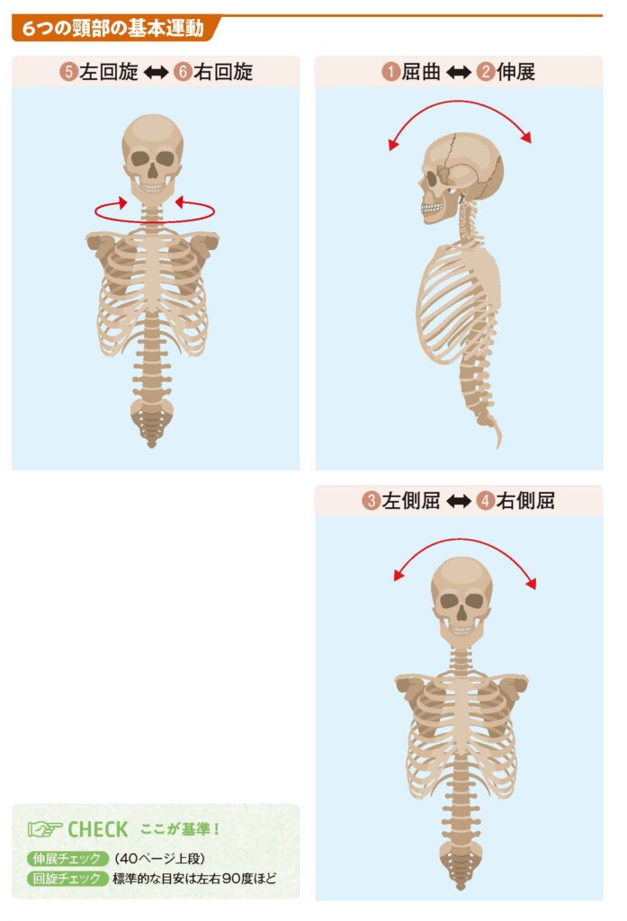 6つの頸部の基本運動【スポーツ障害予防の教科書】