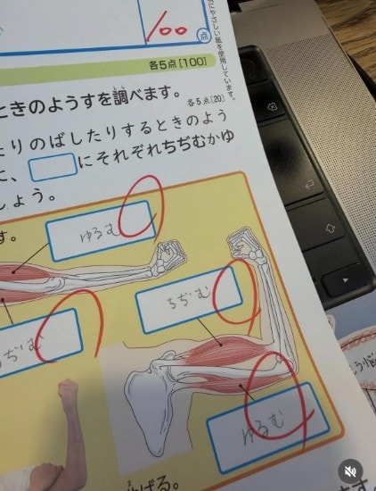 Instagram:庄司智春(@tomoharushoji)より