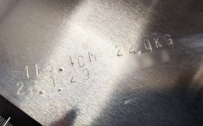 釣った魚のサイズと子供の身長どちらも測れるメジャーボードを自作してみた