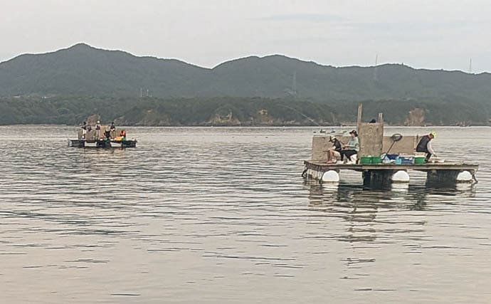安乗釣センターのカカリ釣りでマアジ連発!【三重】泳がせ釣りでは40cmシオがヒット