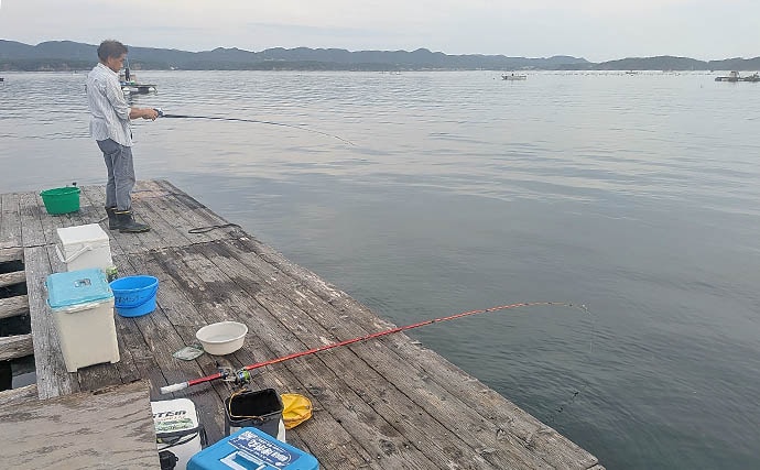 安乗釣センターのカカリ釣りでマアジ連発!【三重】泳がせ釣りでは40cmシオがヒット