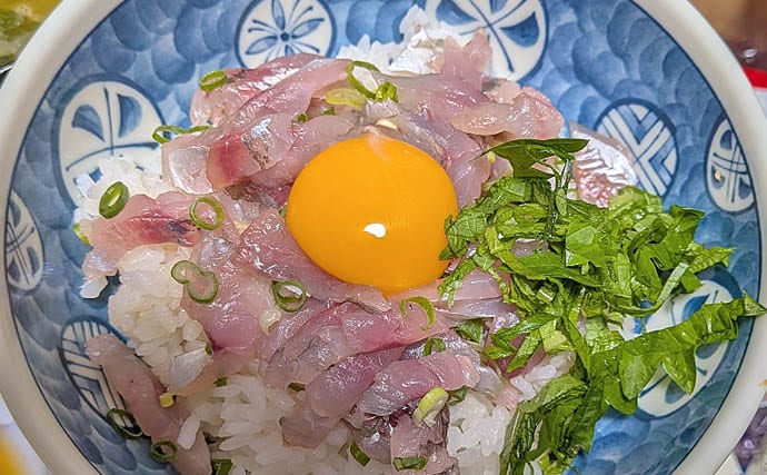 安乗釣センターのカカリ釣りでマアジ連発!【三重】泳がせ釣りでは40cmシオがヒット