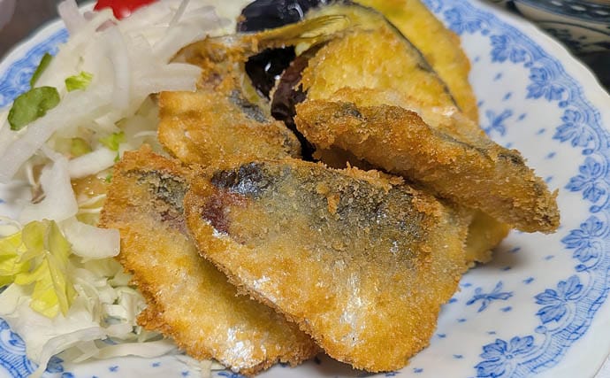 安乗釣センターのカカリ釣りでマアジ連発!【三重】泳がせ釣りでは40cmシオがヒット