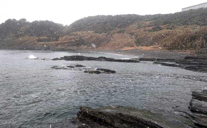 雪中のフカセ釣りで47cm頭にクロダイ4尾手中【千葉・南ケイセン】サラシをかわす沖目攻略で連発