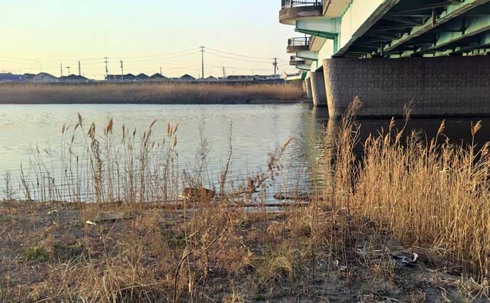 「ルアーは巻かないが正解！」水温と気温が急上昇した河川でシーバス3連発【養老川】