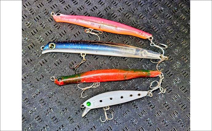 「ルアーは巻かないが正解！」水温と気温が急上昇した河川でシーバス3連発【養老川】