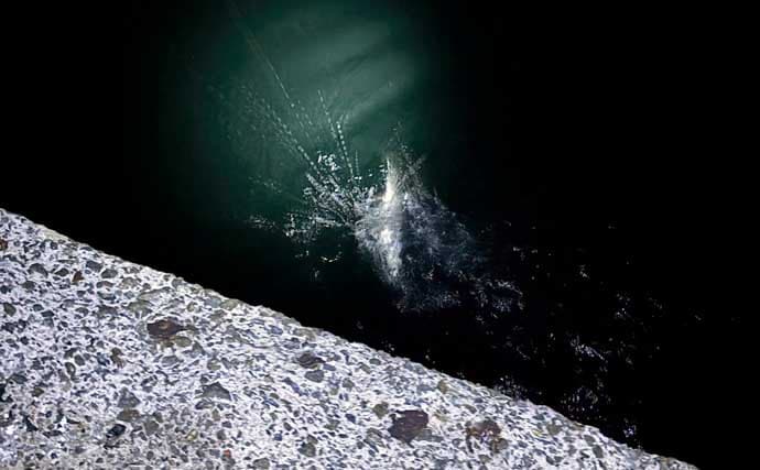 「季節変わると釣り方変わる？」陸っぱりチニングのシーズンごとのパターンを解説