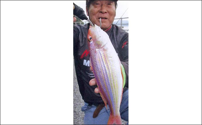 大入島・日向泊港の投げ釣りで25cm超キス続出!【大分】マゴチ67cm&イトヨリ51cmも登場
