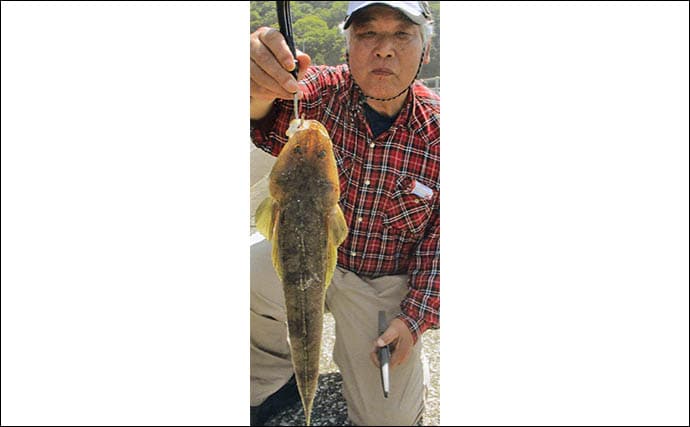 大入島・日向泊港の投げ釣りで25cm超キス続出!【大分】マゴチ67cm&イトヨリ51cmも登場