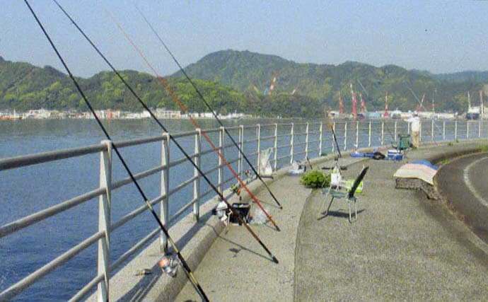 大入島・日向泊港の投げ釣りで25cm超キス続出!【大分】マゴチ67cm&イトヨリ51cmも登場