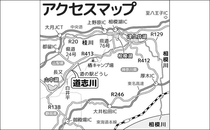 道志川の渓流エサ釣りでヤマメ＆イワナが好反応　同行者全員安打を達成！