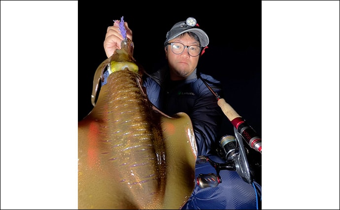 【冬エギング攻略法】アオリイカの捕食タイミング・居場所を予測して釣果につなげよう