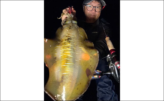 【冬エギング攻略法】アオリイカの捕食タイミング・居場所を予測して釣果につなげよう