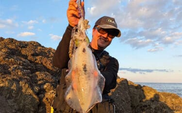 【冬エギング攻略法】アオリイカの捕食タイミング・居場所を予測して釣果につなげよう