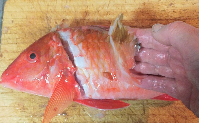 釣魚で作る「刺身アレンジ」レシピ：オジサンのオイル漬け　冷蔵庫で10日前後