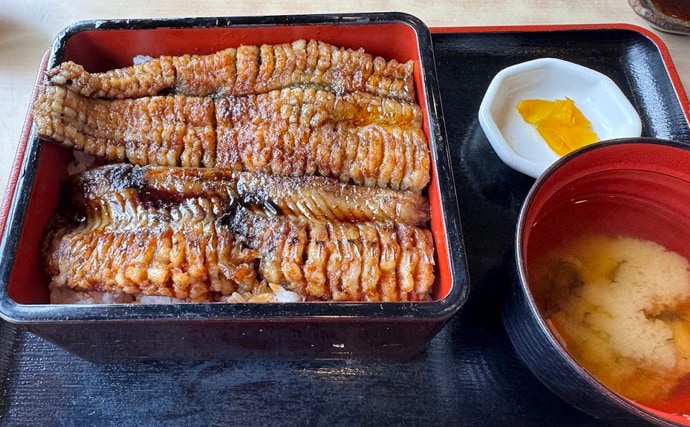 ウナギを超えるアブラギッシュな魚を発見 深海の新名物「黒ハモ」を食べてみた