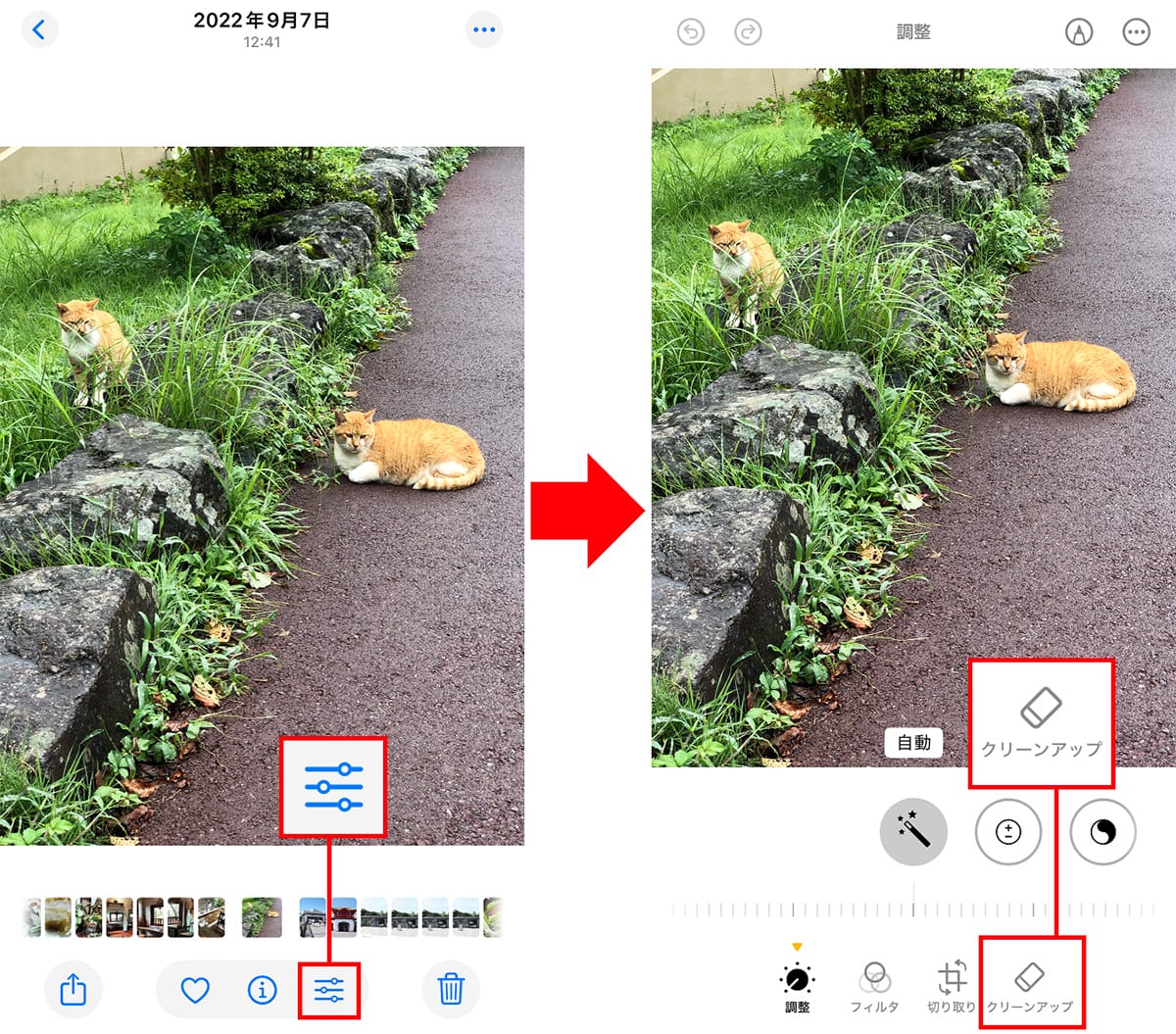 <チェック中>消しゴムマジックに匹敵!? iPhoneの「クリーンアップ」機能を試してわかった実力の画像1