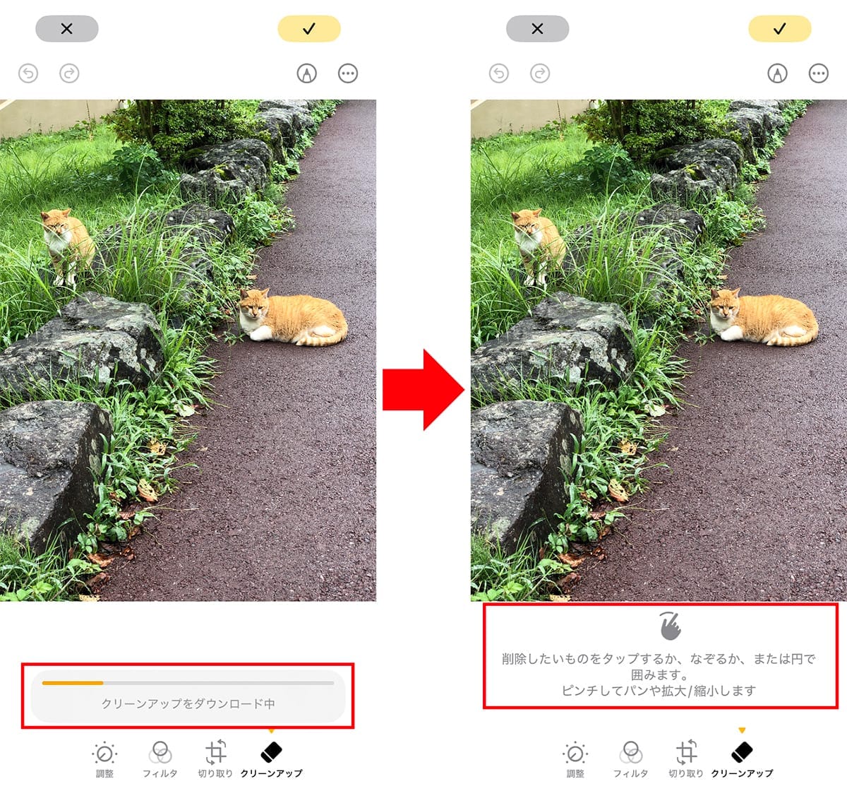 <チェック中>消しゴムマジックに匹敵!? iPhoneの「クリーンアップ」機能を試してわかった実力の画像1