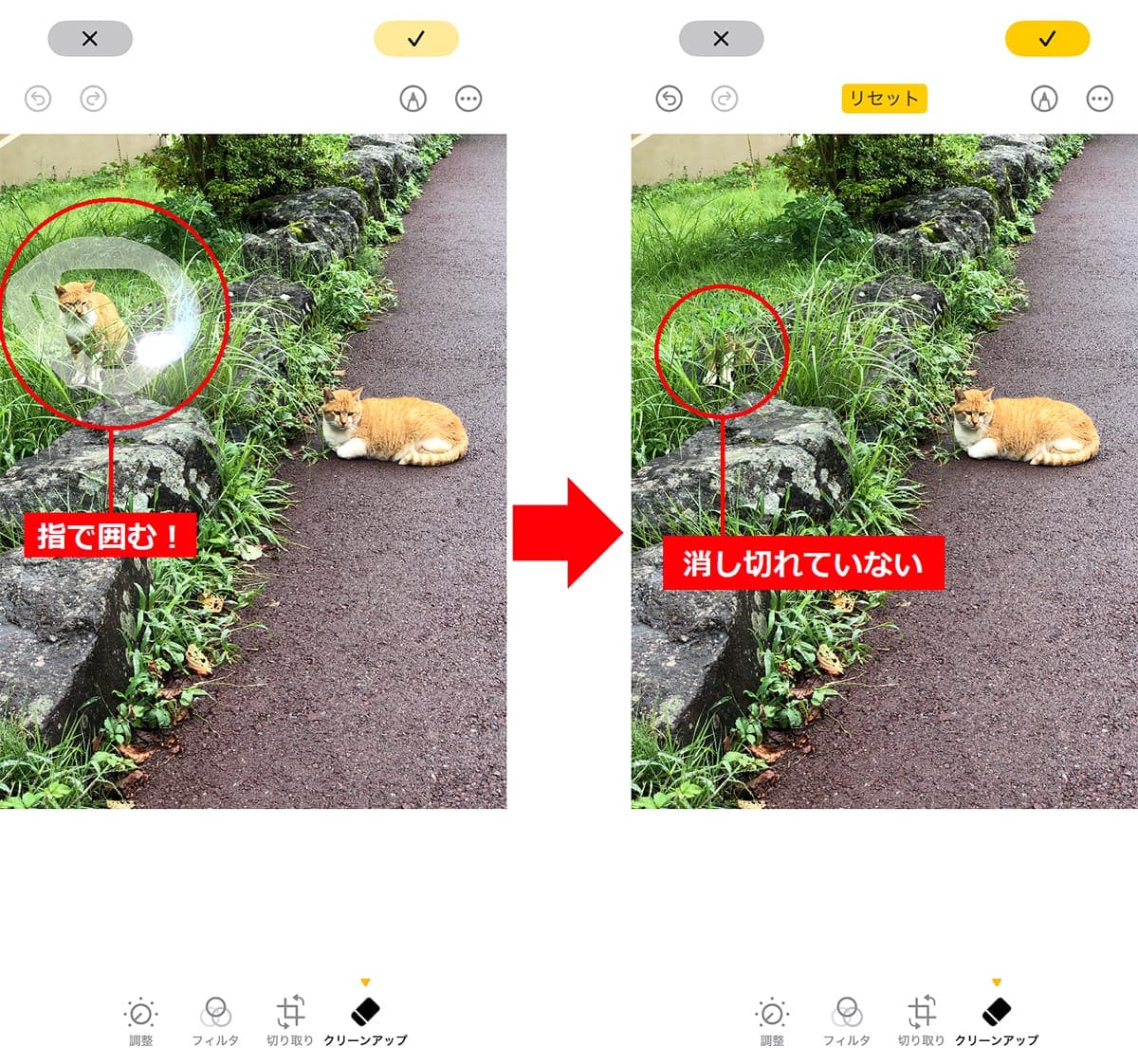 <チェック中>消しゴムマジックに匹敵!? iPhoneの「クリーンアップ」機能を試してわかった実力の画像1