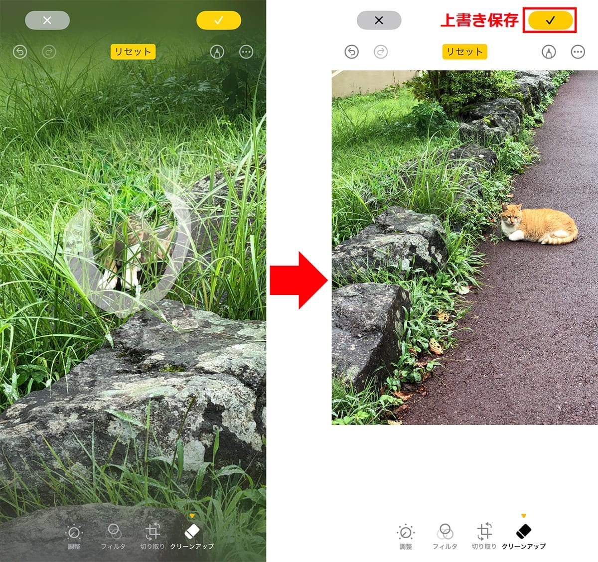 <チェック中>消しゴムマジックに匹敵!? iPhoneの「クリーンアップ」機能を試してわかった実力の画像1