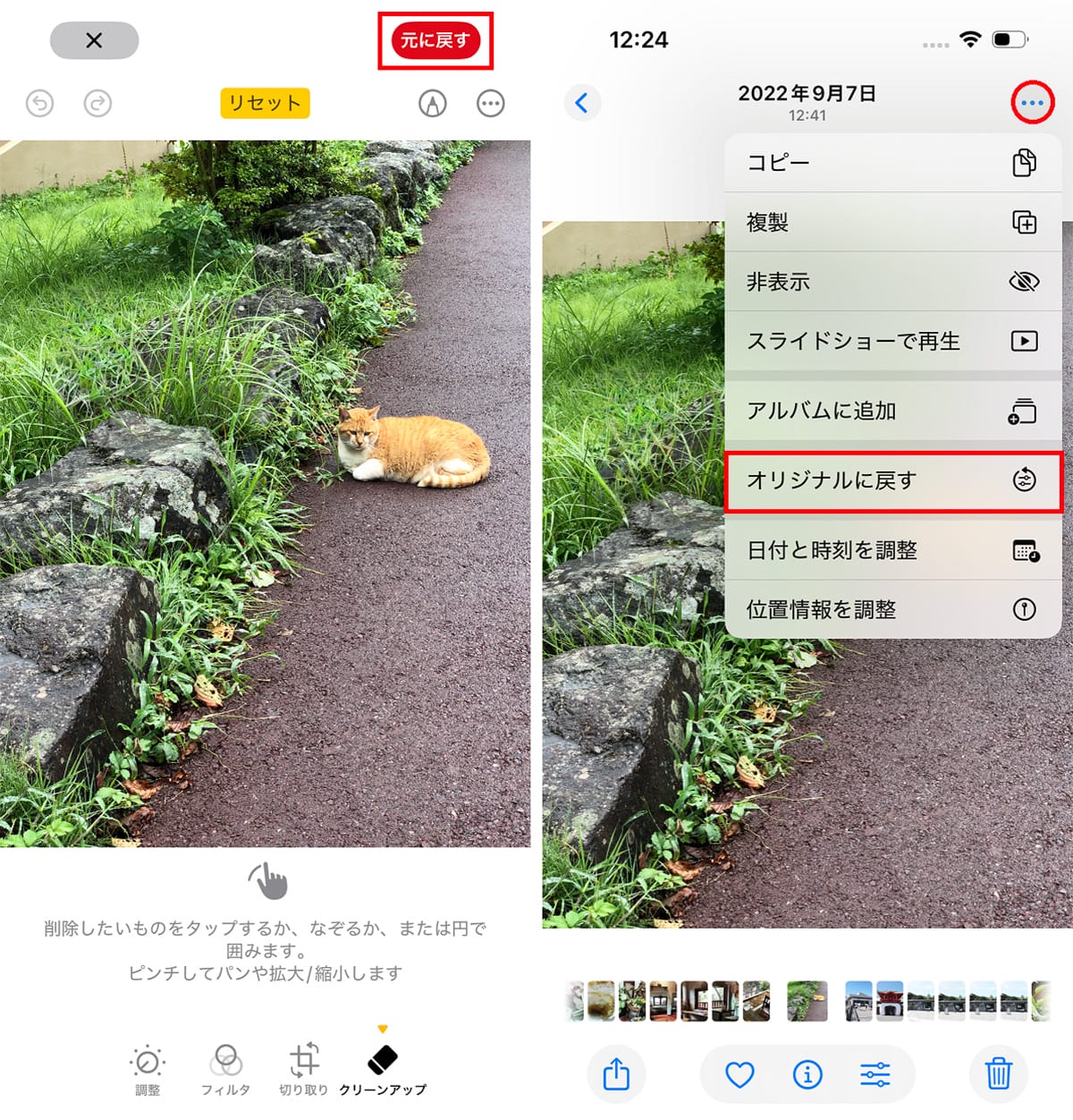<チェック中>消しゴムマジックに匹敵!? iPhoneの「クリーンアップ」機能を試してわかった実力の画像1
