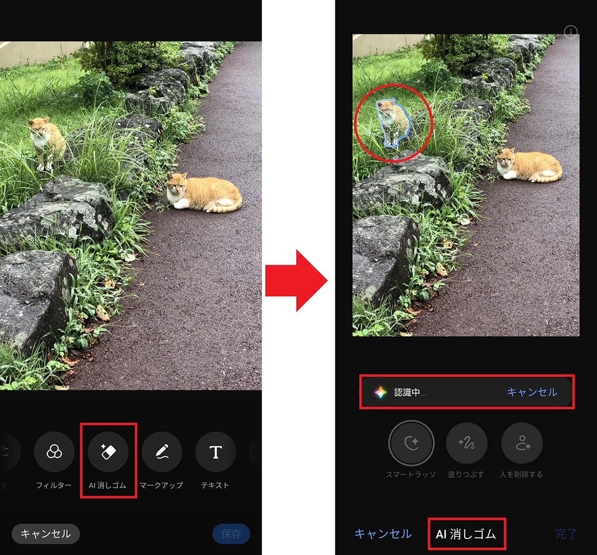 <チェック中>消しゴムマジックに匹敵!? iPhoneの「クリーンアップ」機能を試してわかった実力の画像1