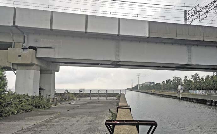 猫実川&塩浜三番瀬公園のハゼ釣りで37尾キャッチ【千葉】16cm超えウロハゼも登場