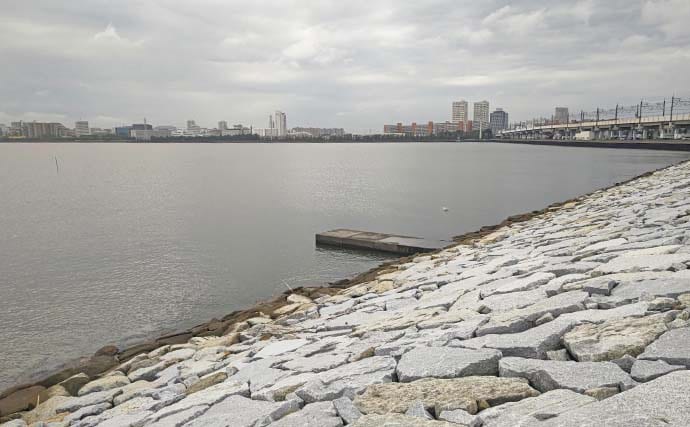 猫実川&塩浜三番瀬公園のハゼ釣りで37尾キャッチ【千葉】16cm超えウロハゼも登場