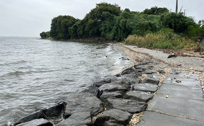 人気釣りフィールド「浜名湖」の不人気ポイント【表鷲津湖岸公園】はマゴチパラダイス？