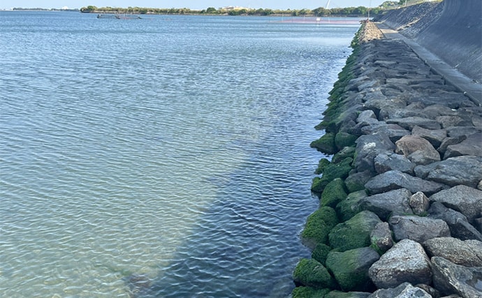 人気釣りフィールド「浜名湖」の不人気ポイント【表鷲津湖岸公園】はマゴチパラダイス？