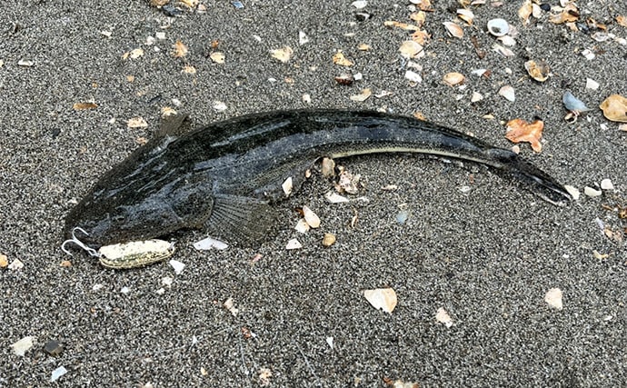 人気釣りフィールド「浜名湖」の不人気ポイント【表鷲津湖岸公園】はマゴチパラダイス？