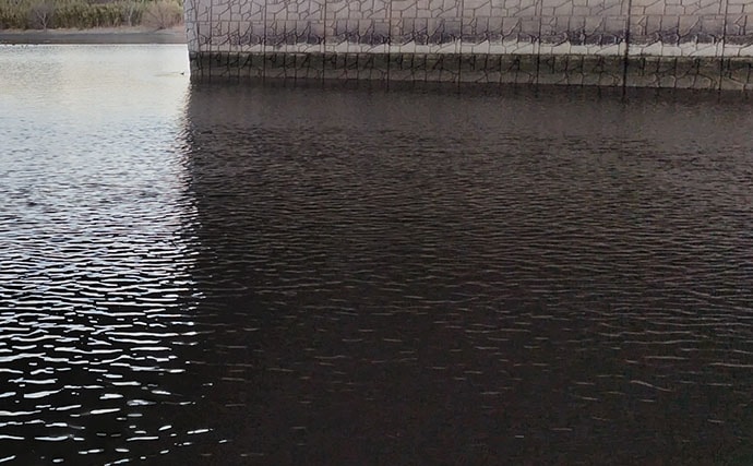 春の河川で75cmシーバスをキャッチ！【千葉】バイブレーション早巻きに反応