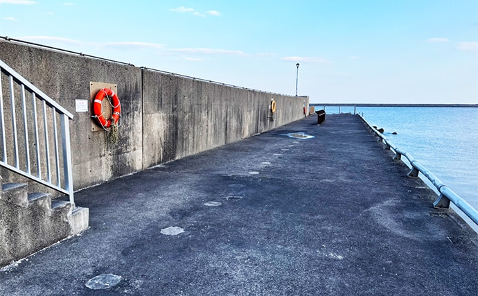 ヘチ釣りで想定外のカレイをキャッチ！【三重】夕マヅメにヒット