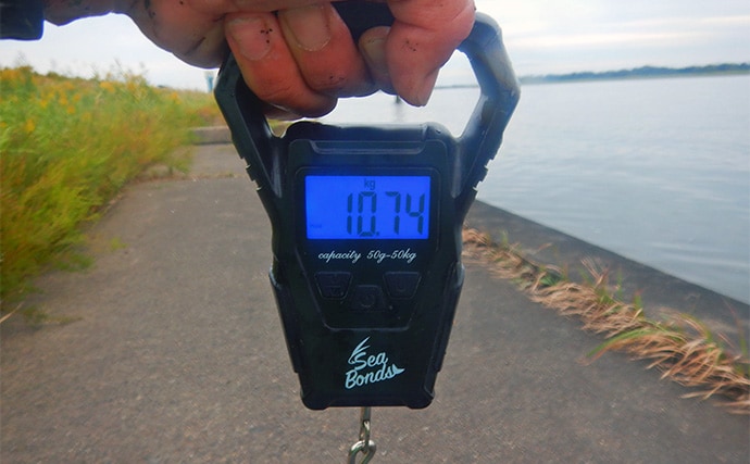 淡水五目釣りで91cm大型ゴイを手中【常陸利根川】ダントウボウとアメナマは連発