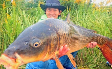 淡水五目釣りで91cm大型ゴイを手中【常陸利根川】ダントウボウとアメナマは連発
